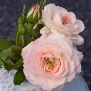 AIR FRANCE (miniature)